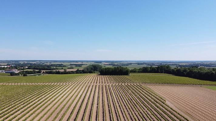 Domaine Roland Vilneau