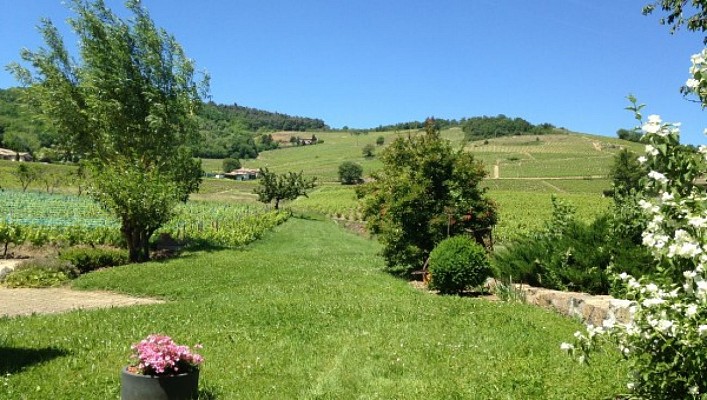 Paysage
