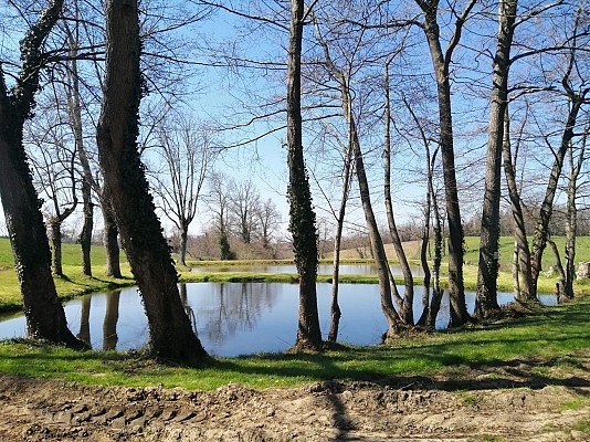 Village de Montagny