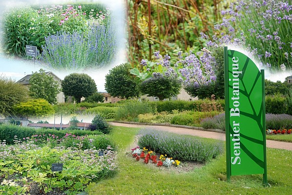Jardin des plantes médicinales