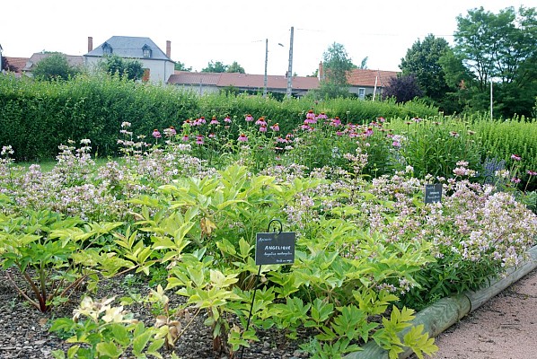Jardin des plantes médicinales