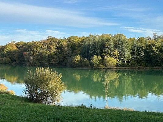 Lac de Lacoste - Lupiac