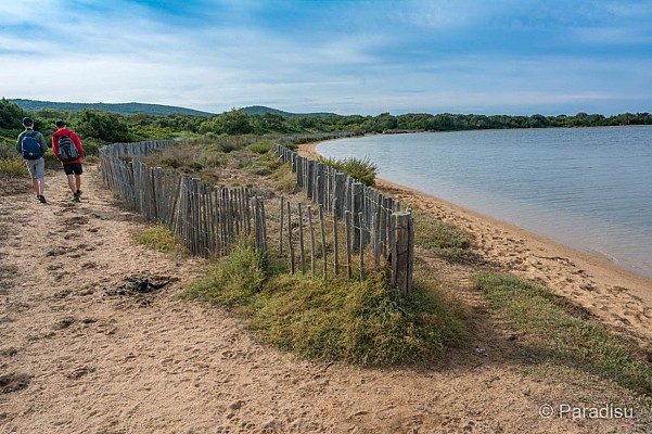 La plage de Figari