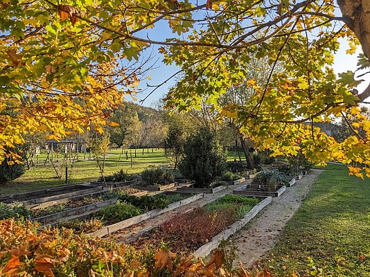 Les jardins du Couvent des Carmes