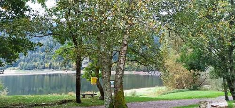 Vue sur le lac