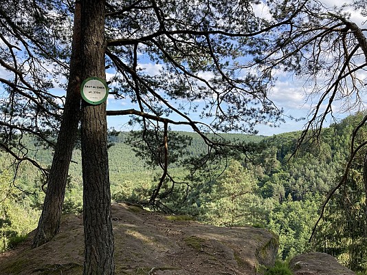 Sentier d’Imsthal au Loosthal
