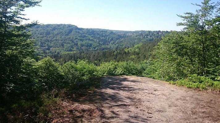Sentier nature du Loosthal