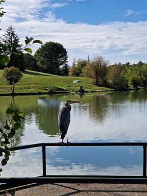 Lac de Mirande