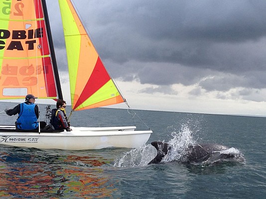 catamaran