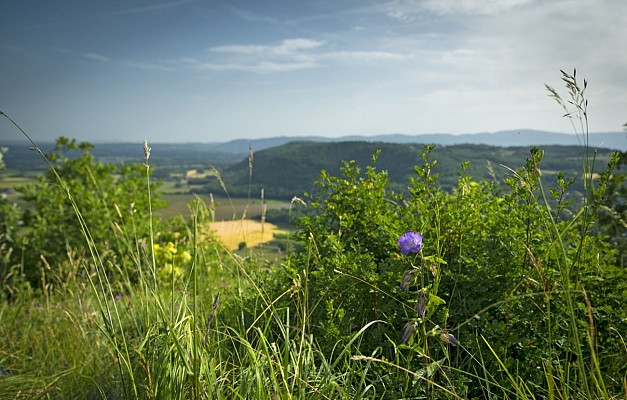 Hières-sur-Amby