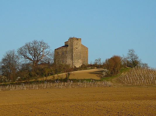 Village de Mansencôme
