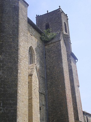 Collégiale Saint-Philippe et Saint-Jacques