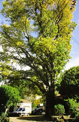 Hameau de Valcros