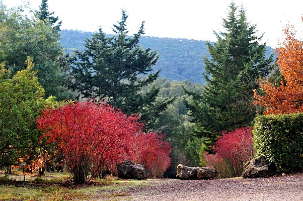 Arboretum de Pierrefeu du Var