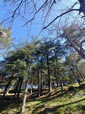 Parc Saint Roch