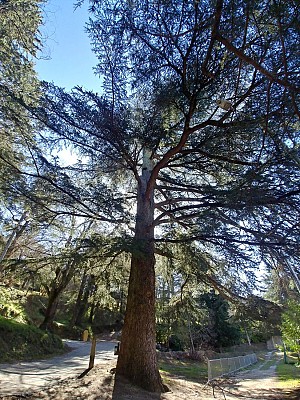Parc Saint Roch