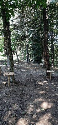 Arboretum Georges Martel