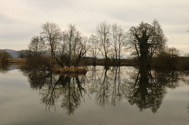 Espace Naturel Sensible de Bouvesse-Quirieu – Site des étangs Cotte