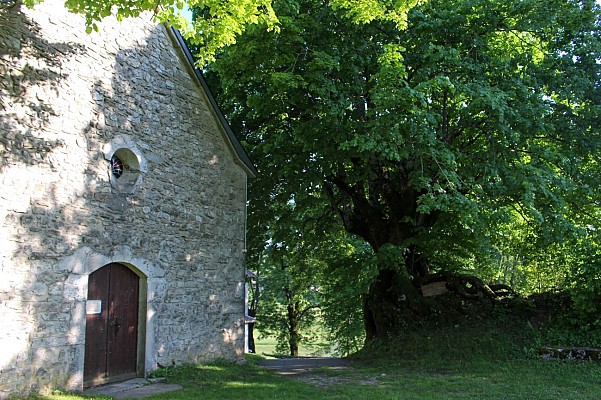 Eglise Saint-Antoine et son Sully