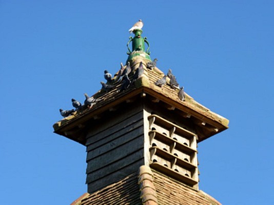 Pigeonnier de Guerre