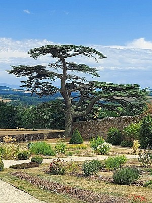 Les Jardins de Brogieux