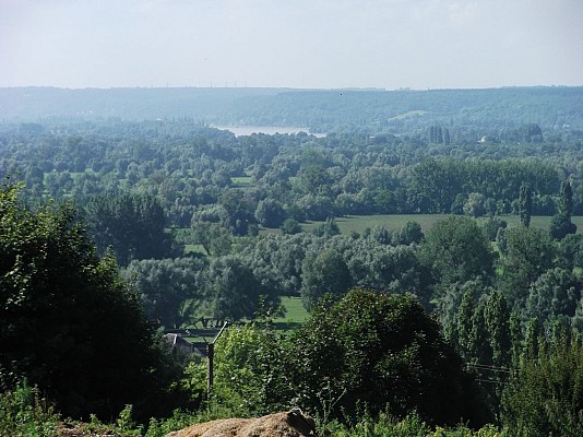 Le marais de Boscherville