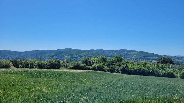 Monts d'Or