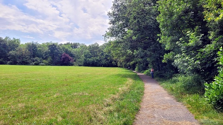 Bois de Serres