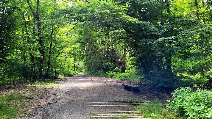 Bois de Serres