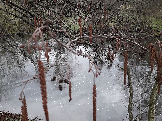 Cublize, le lac des Sapins