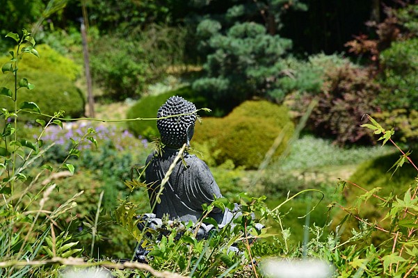 Jardin zen d'Erik Borja
