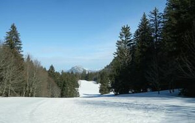 En Chartreuse