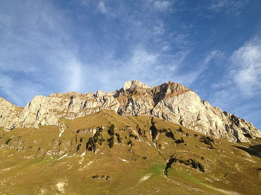 Alpage de Bise