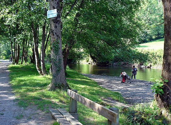 Chemin au bord du Vert