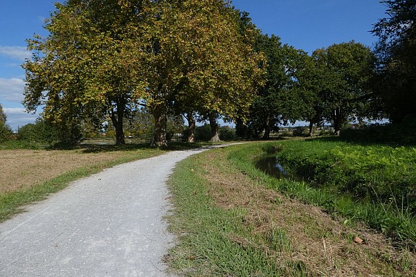 Sentier au bord de la zone humide