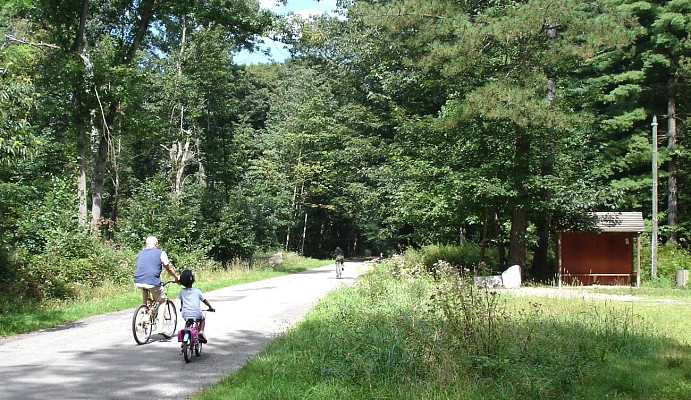 Une allée du bois de Bastard