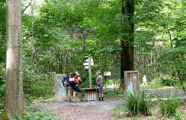 Pélerines dans le bois de Bastard