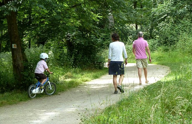 Sentier à l'ombre des arbres le long du gave