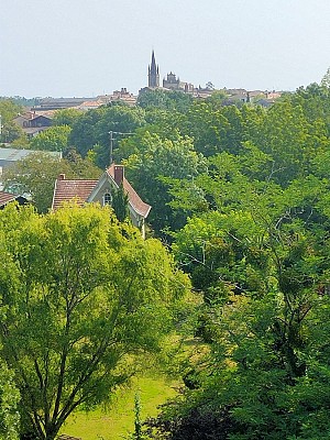 IMG20240820120237