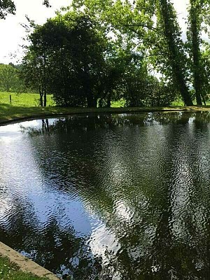 Etang