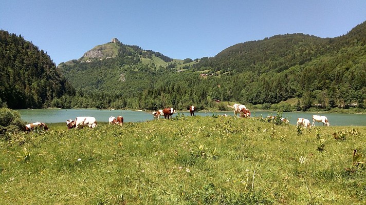 Lac de Vallon