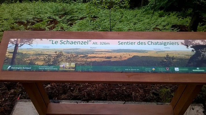 Balade sonore - Découverte de Lichtenberg