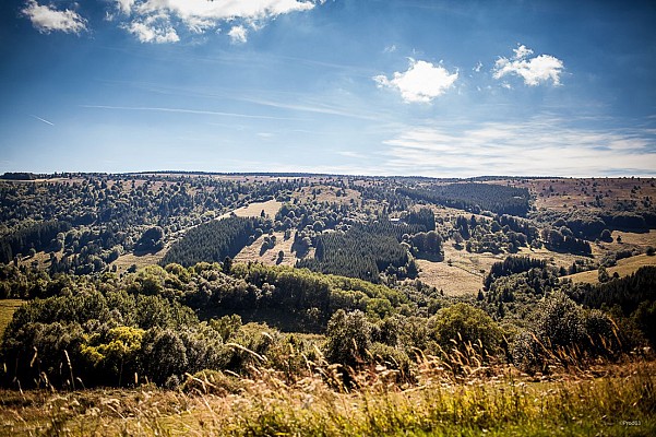 Les Hautes-Chaumes