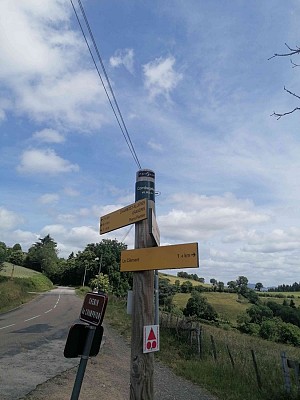 St Just d'Avray - Entre les prés et la forêt