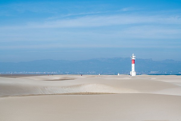 Far del Fangar