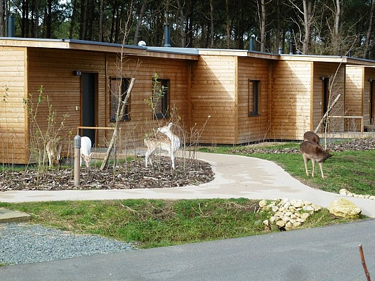 Center Parcs Bois aux Daims