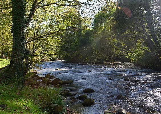L 'ADOUR, FLEUVE CAPRICIEUX
