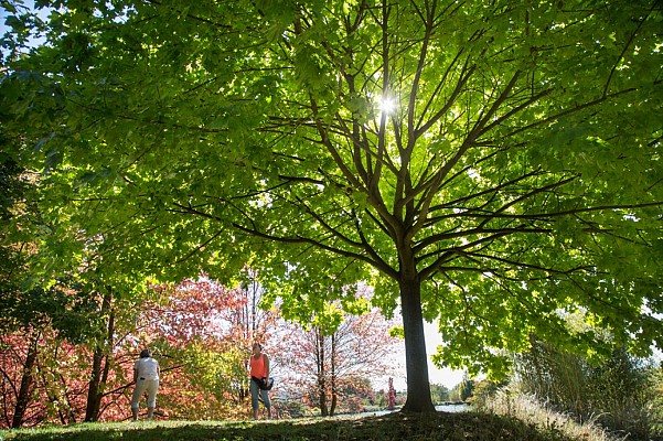 Jardin du Bois Marquis