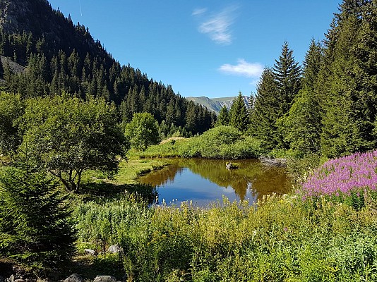 Cabane du Louvet