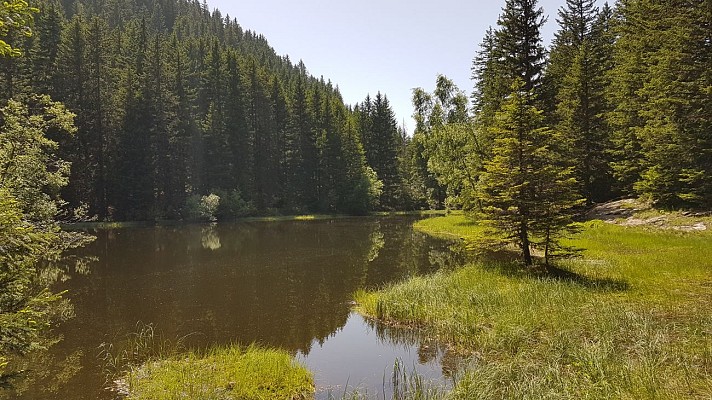 Lac Punay